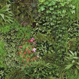 Tapet LIVING WALL | ON1670