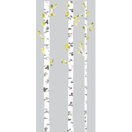 Sticker gigant BIRCH TREES | RMK2662GM