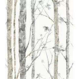 Tapet autoadeziv BIRCH TREES | RMK9047WP